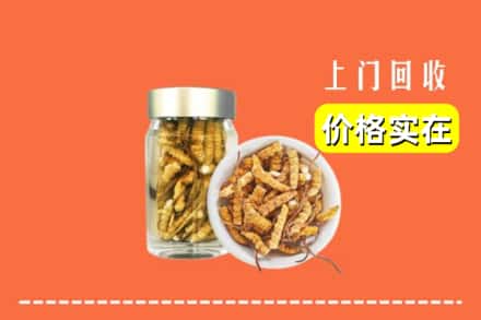 收购资讯:定西市渭源回收散虫草
