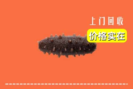 收购资讯:定西市渭源回收海参