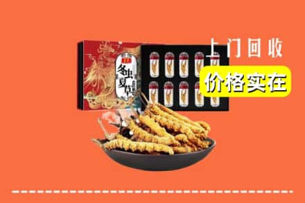 定西市渭源回收虫草